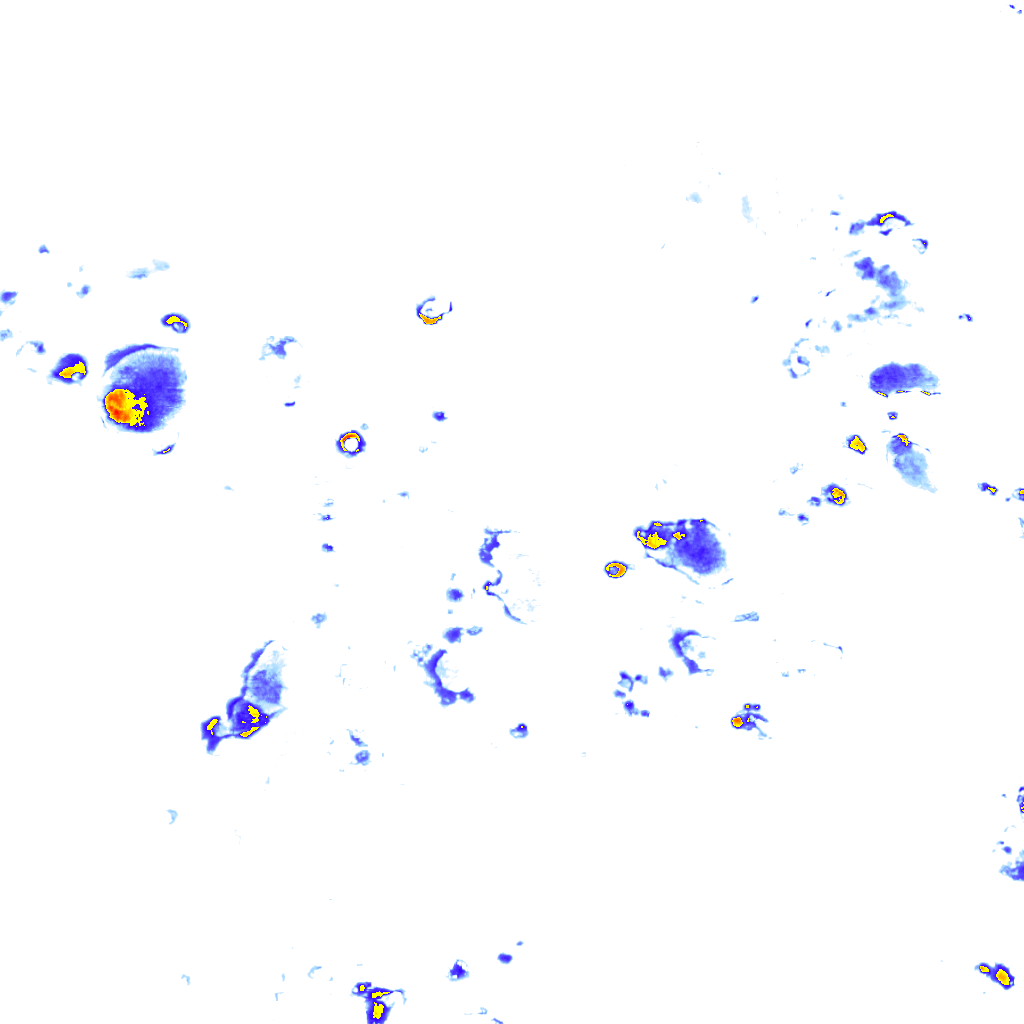 rainLayer