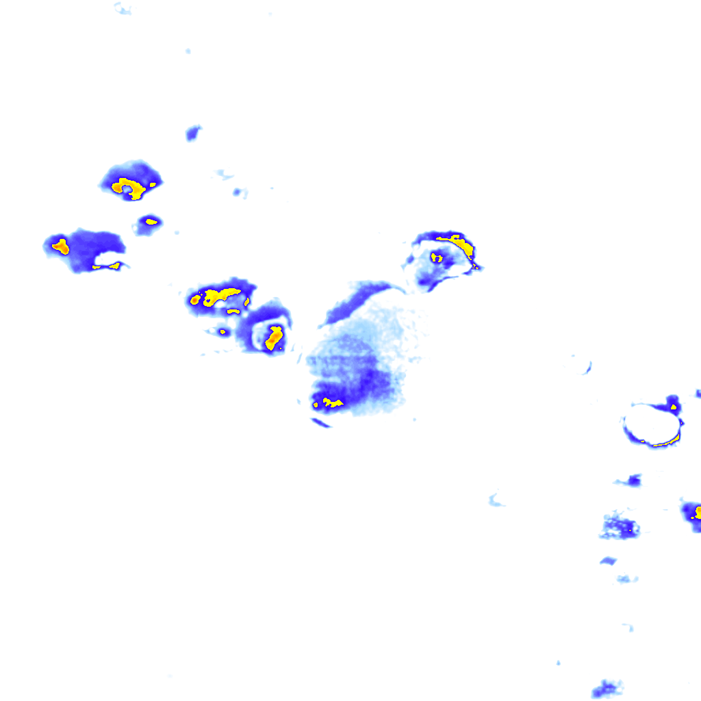 Image Layer