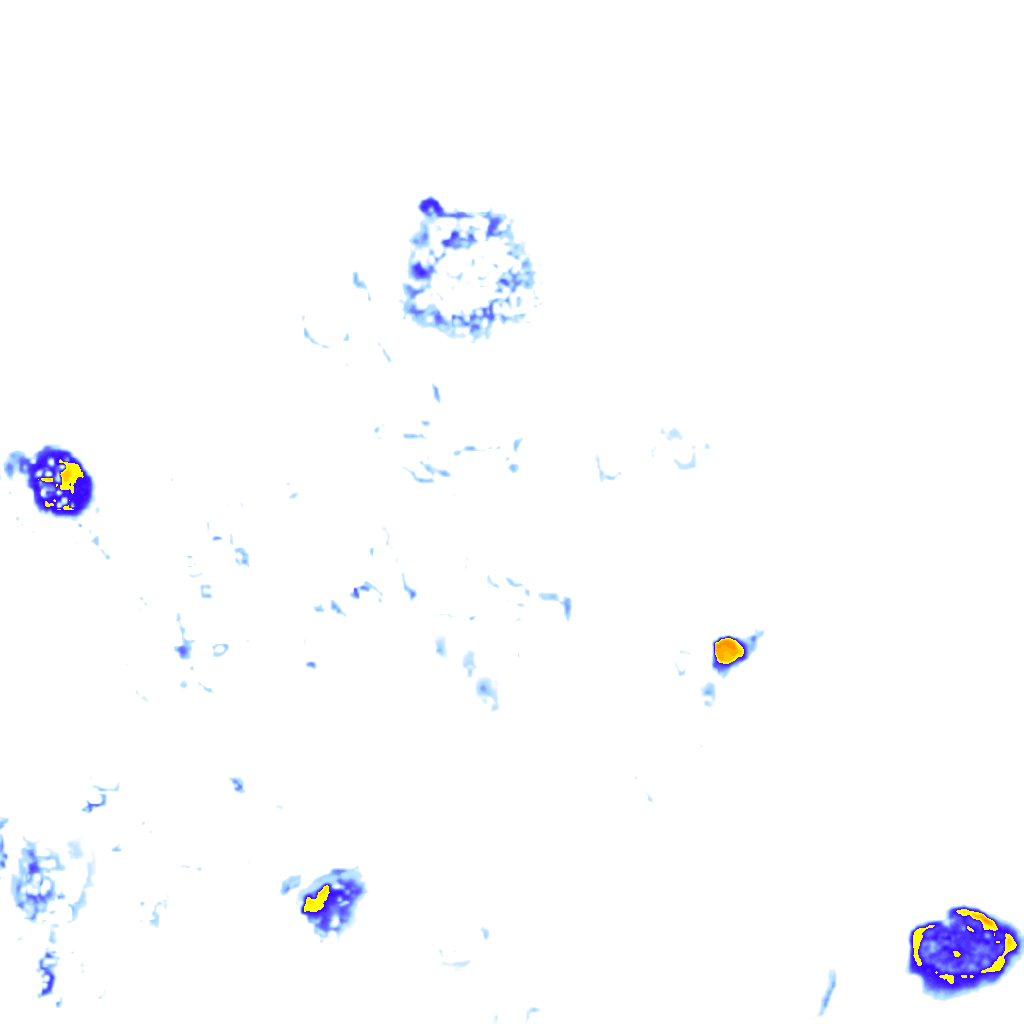 rainLayer