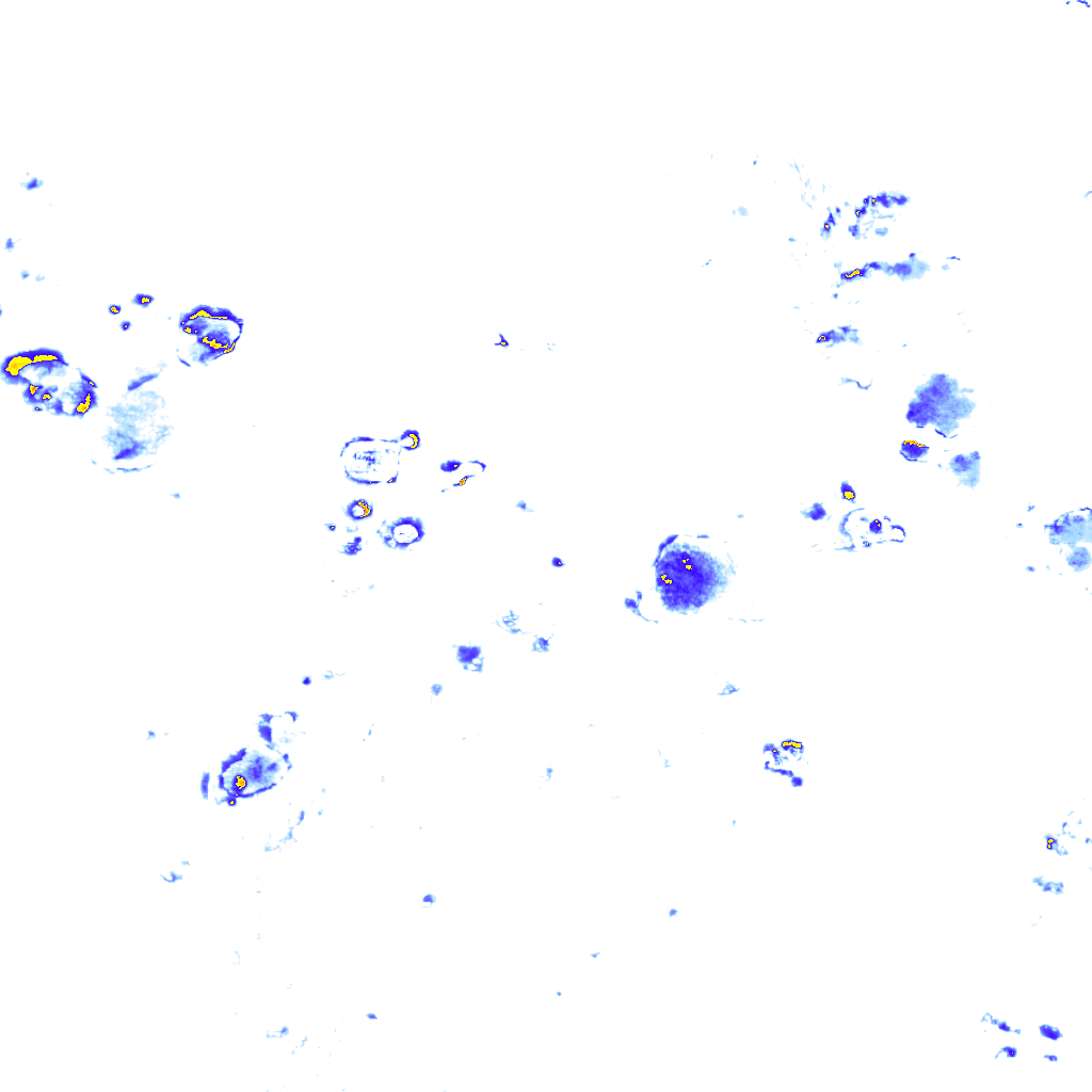 rainLayer