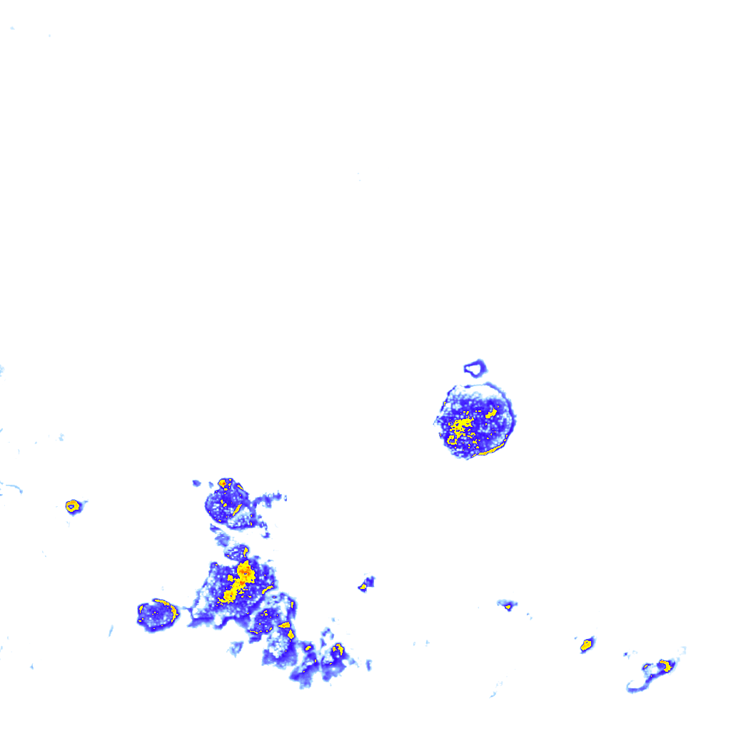 rainLayer