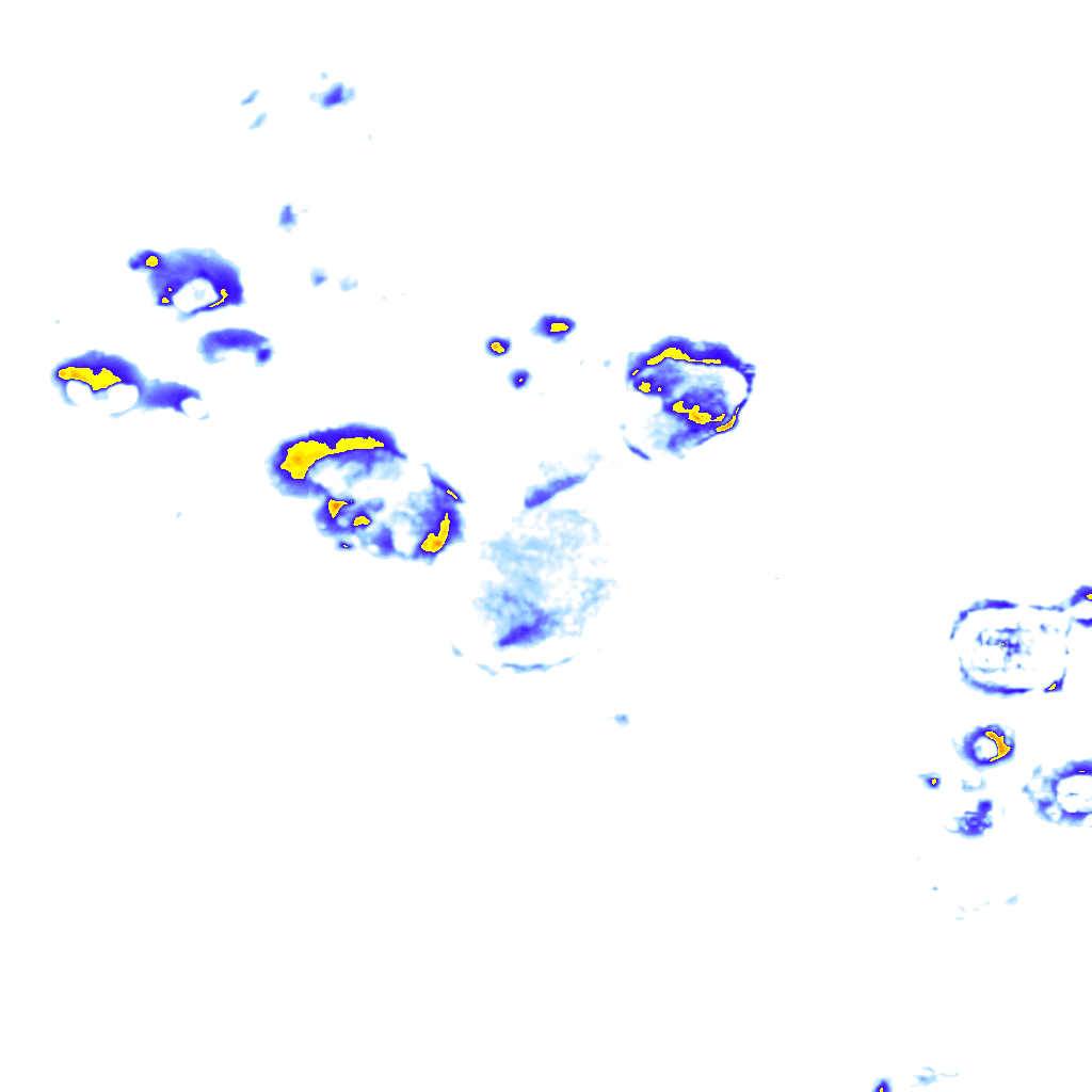 rainLayer