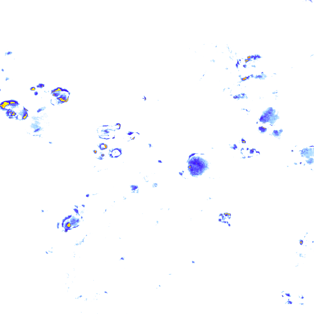 Image Layer