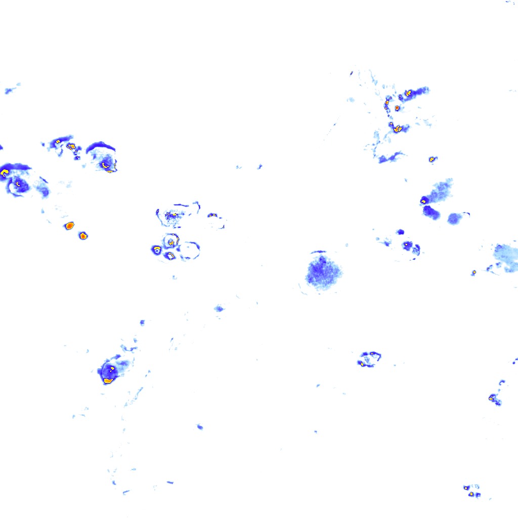rainLayer