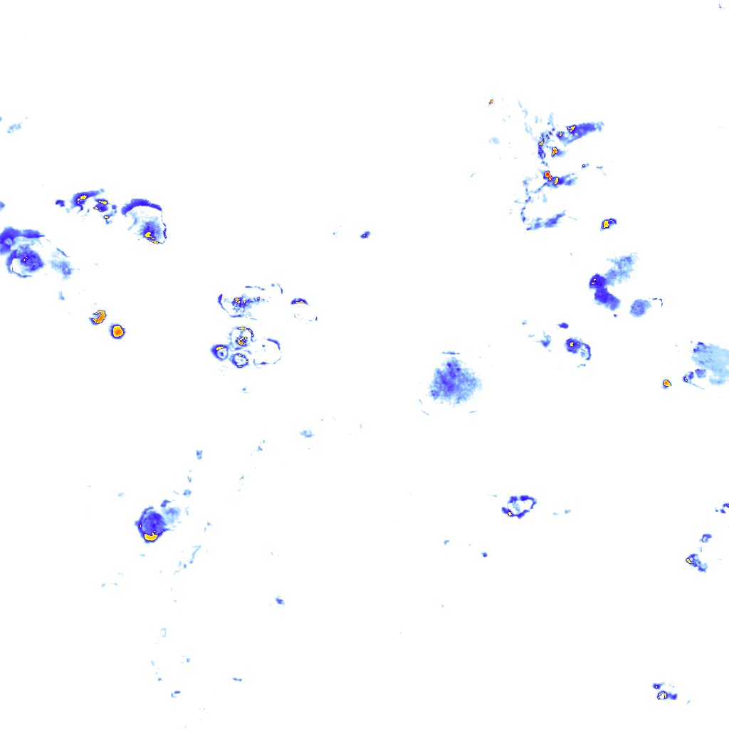 Image Layer