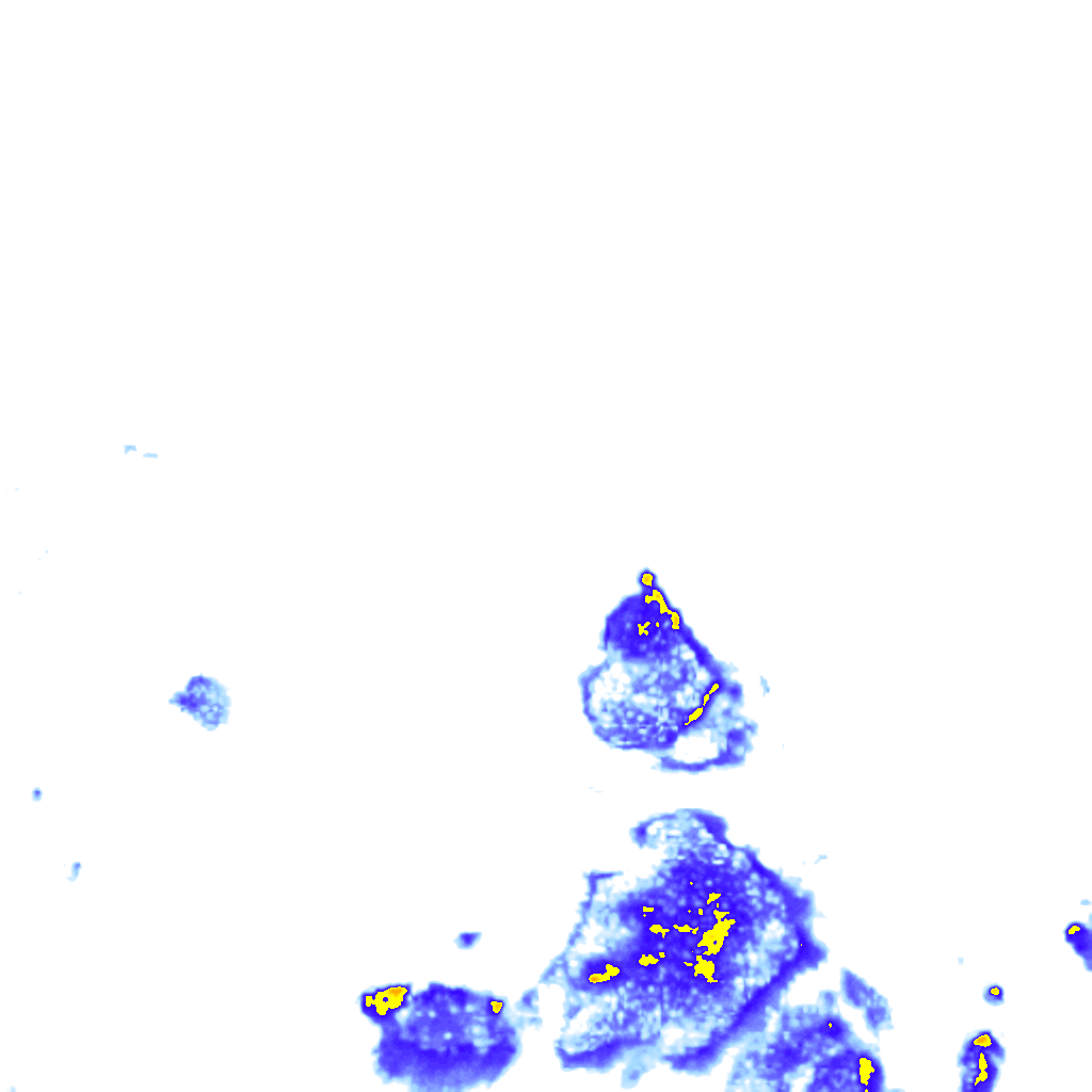 Image Layer