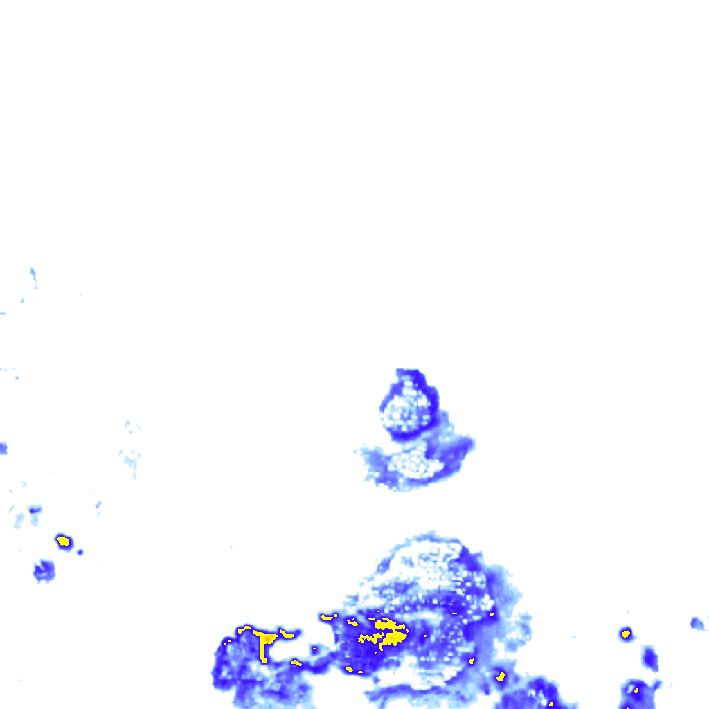 rainLayer