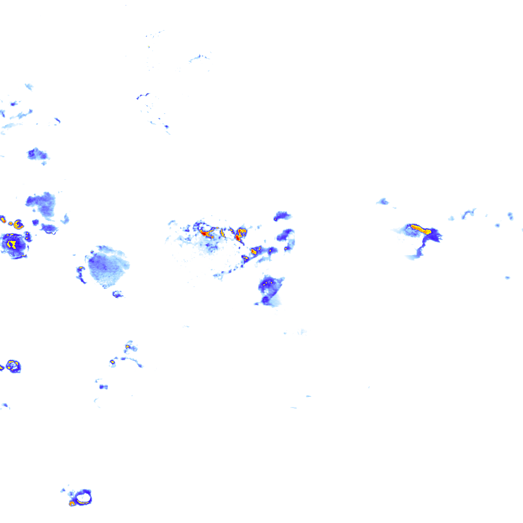 Image Layer