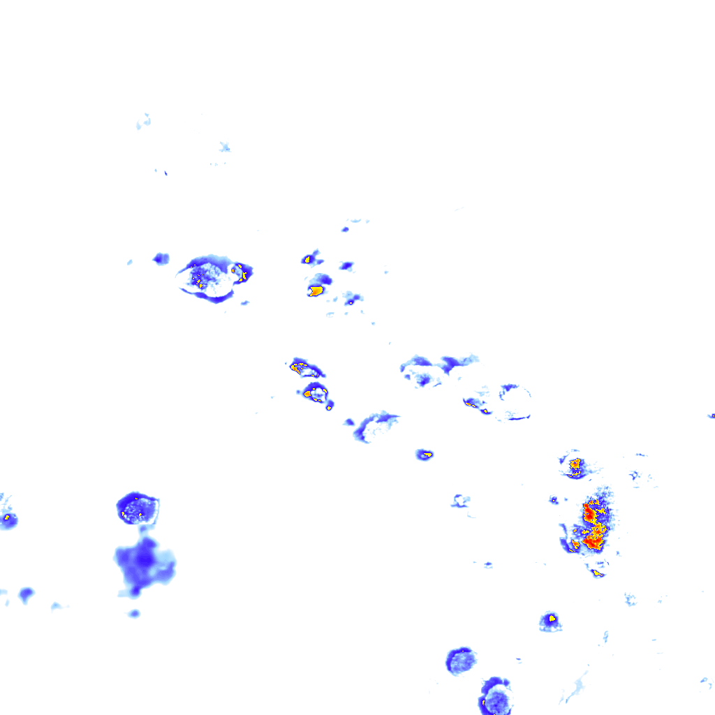 rainLayer