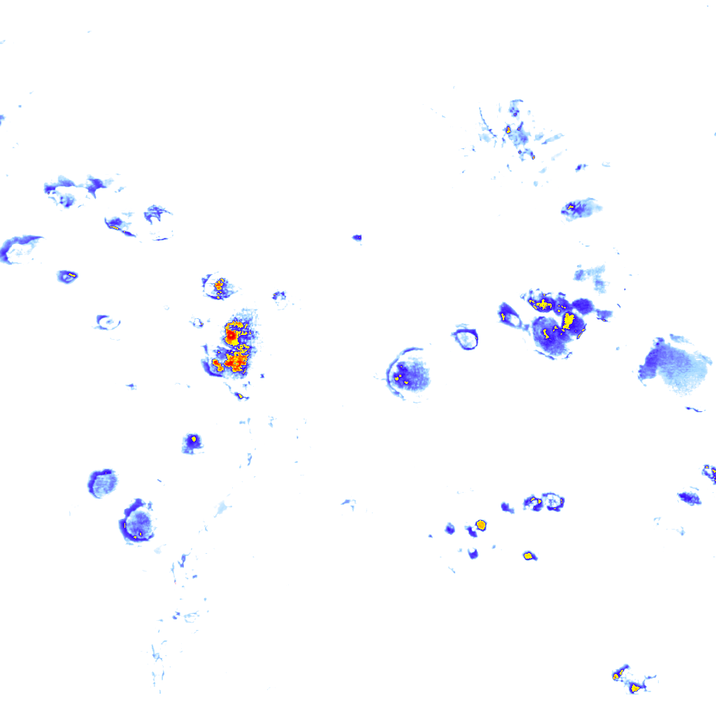 rainLayer