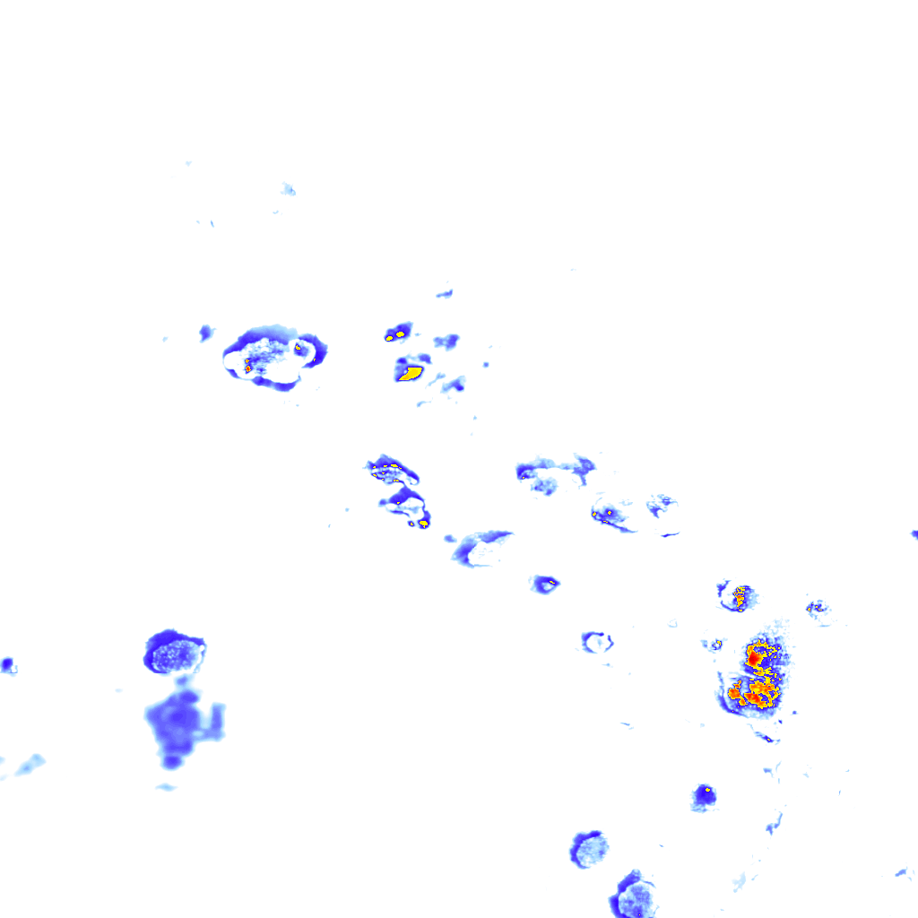 Image Layer