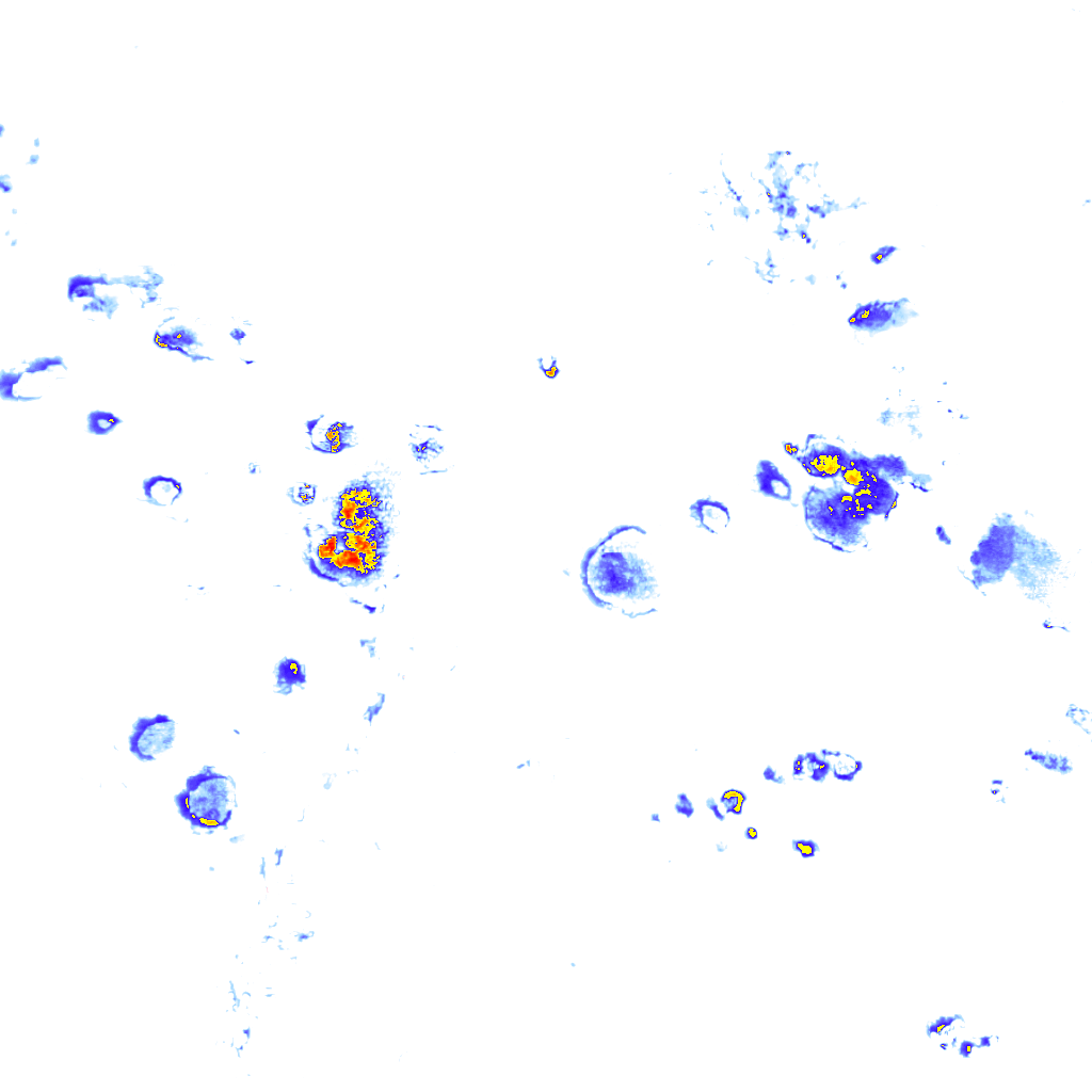 rainLayer