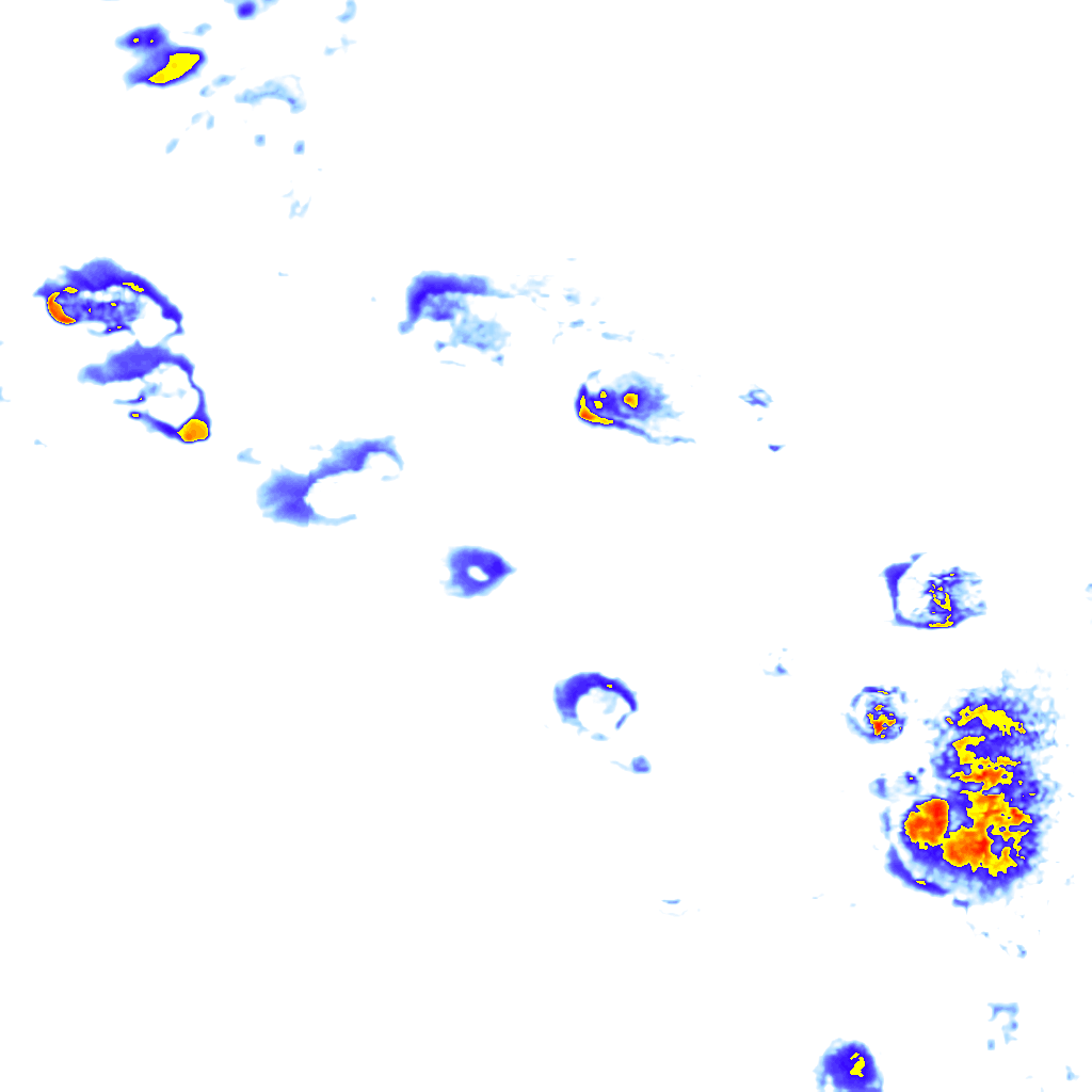 Image Layer