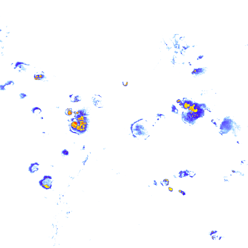 Image Layer