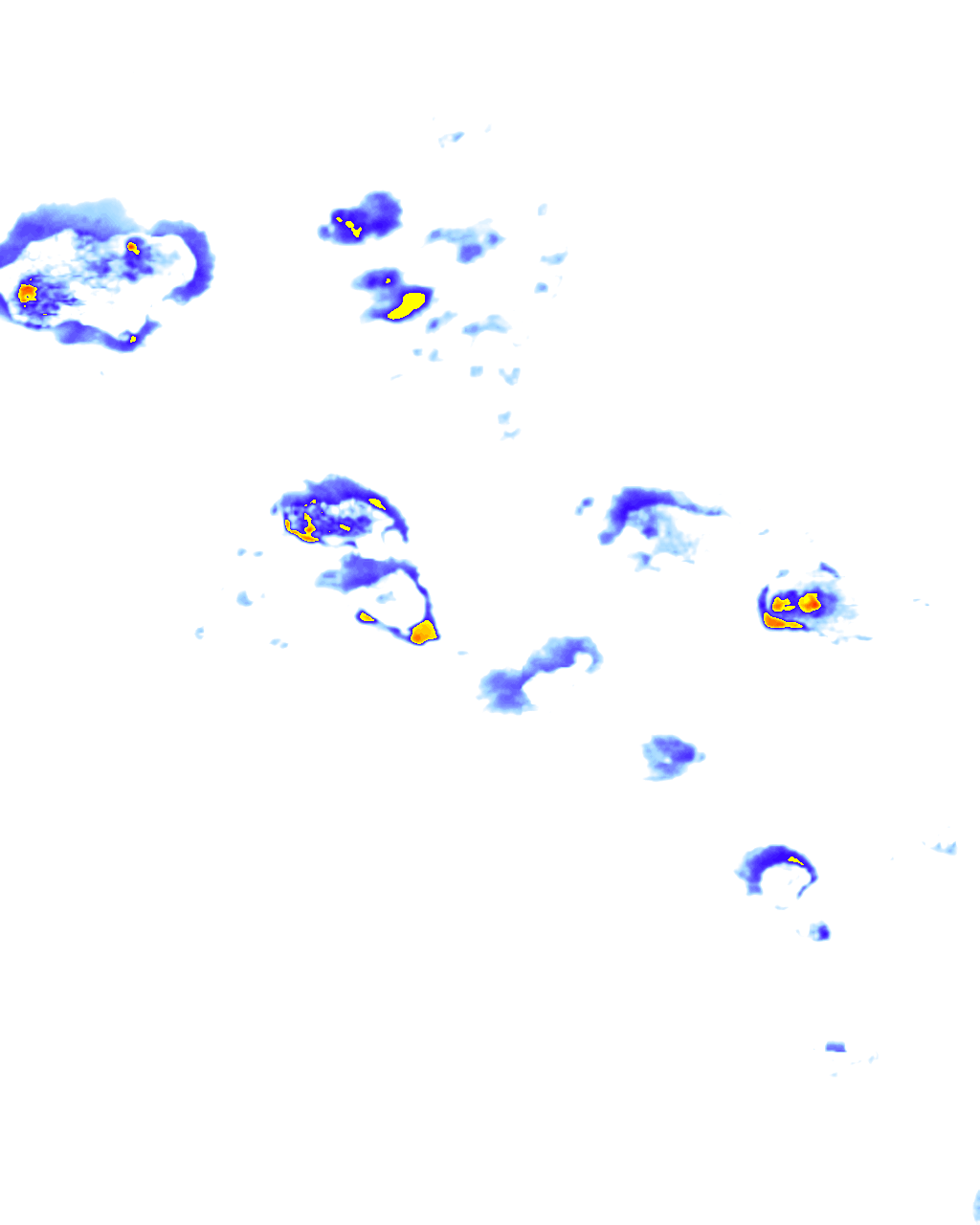 rainLayer