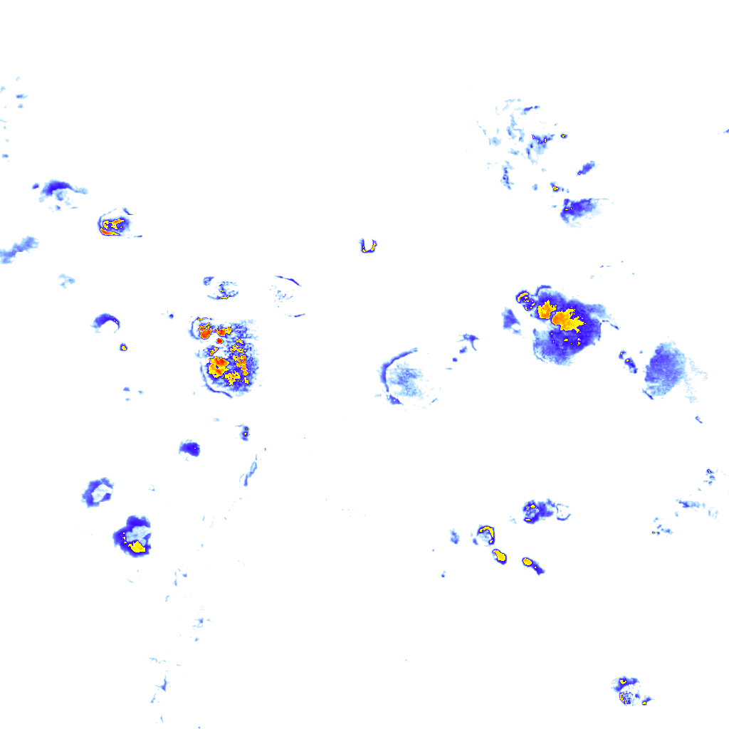 Image Layer