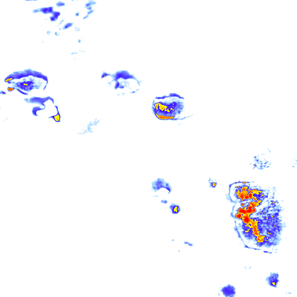 rainLayer
