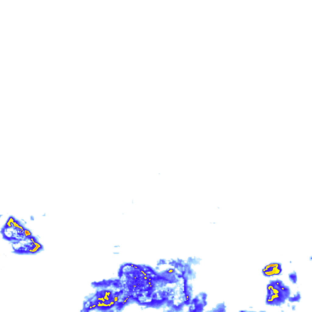 rainLayer