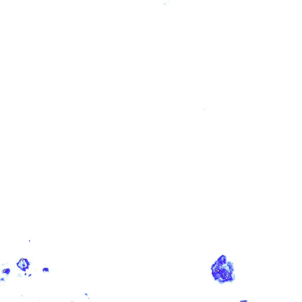rainLayer