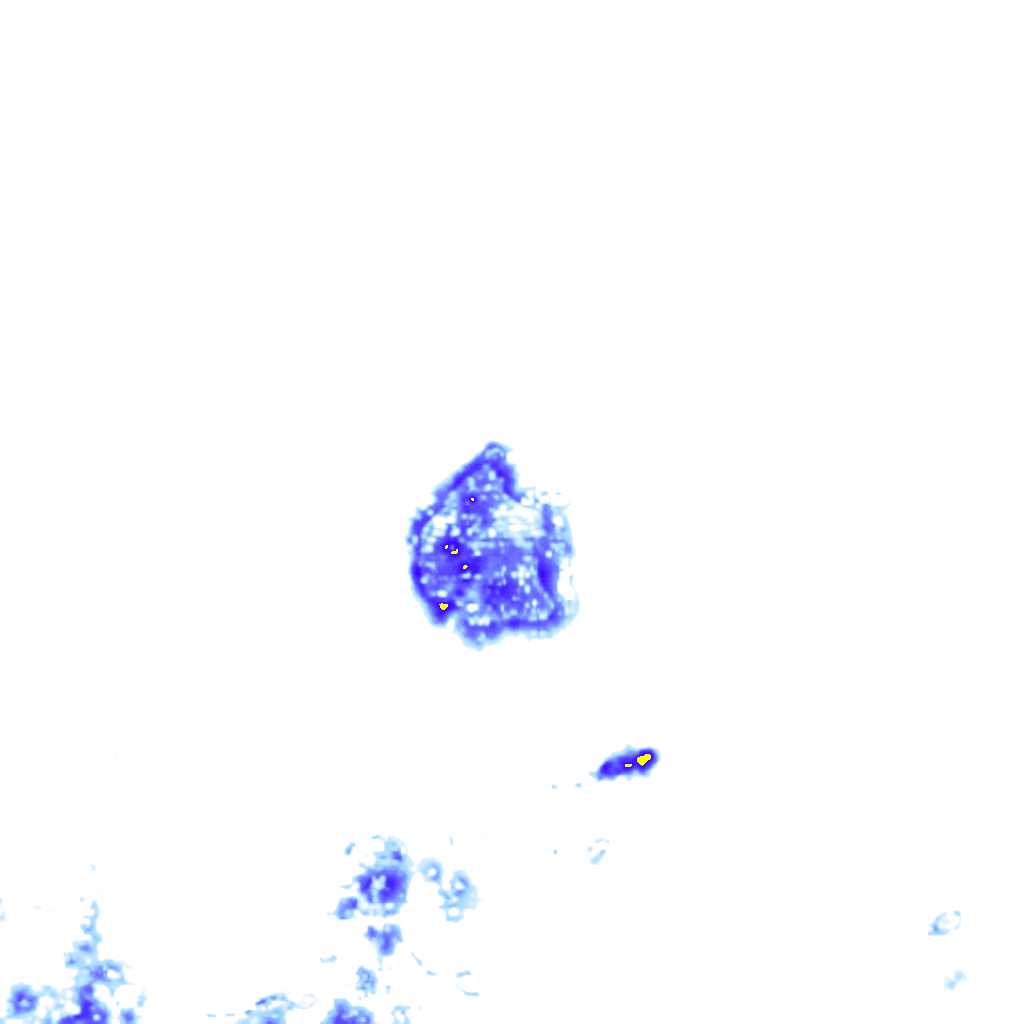 rainLayer