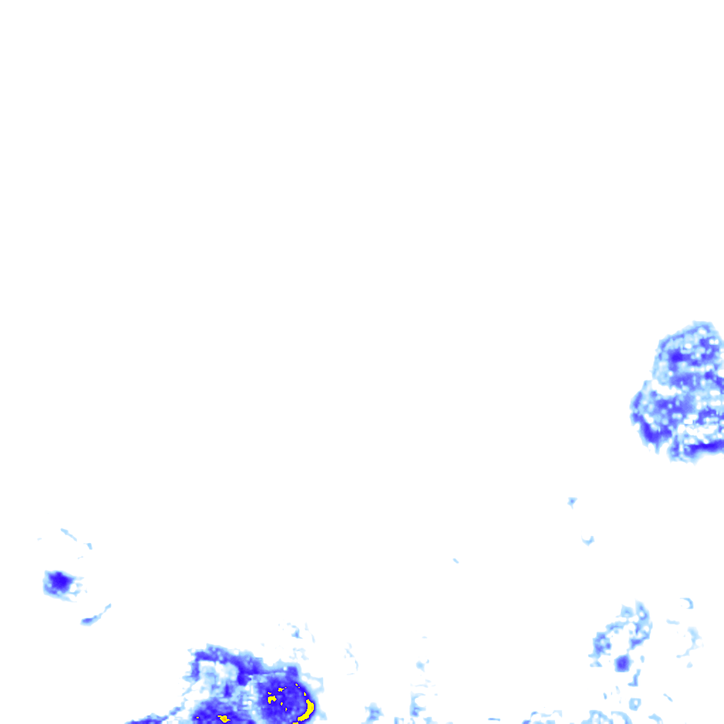 rainLayer