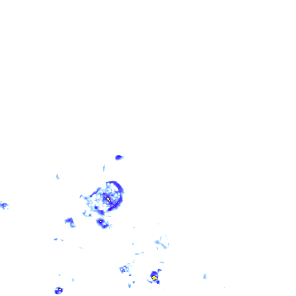 rainLayer