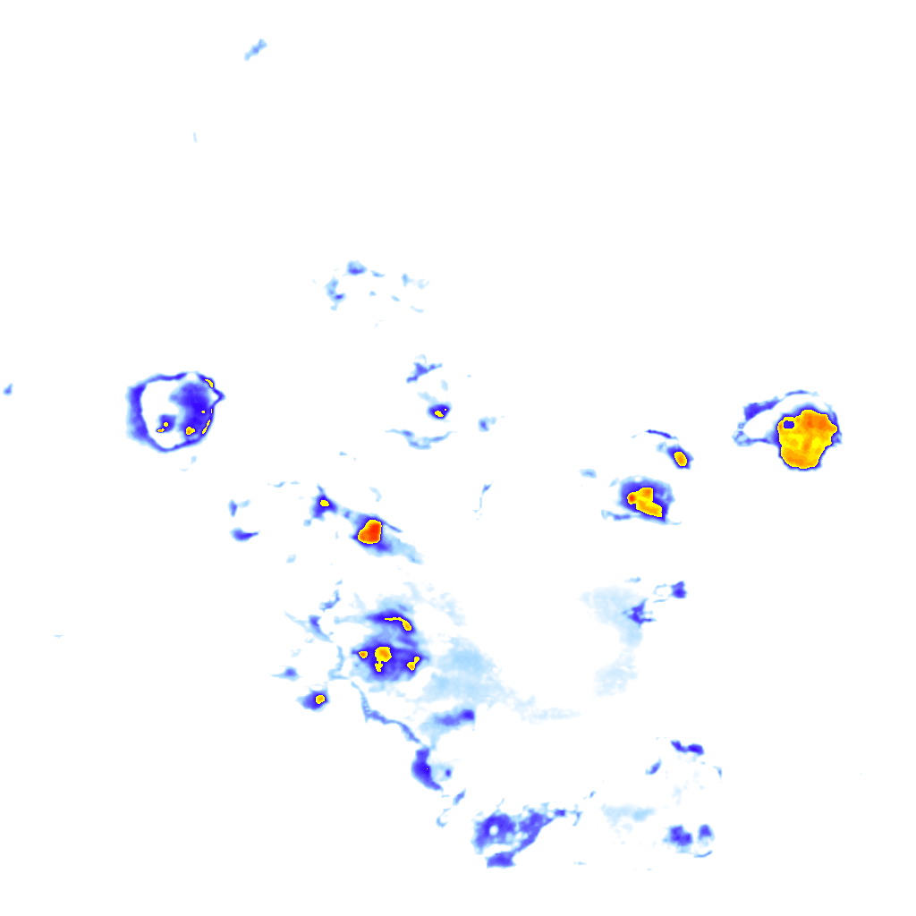 Image Layer