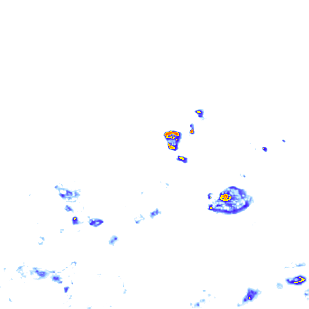 rainLayer