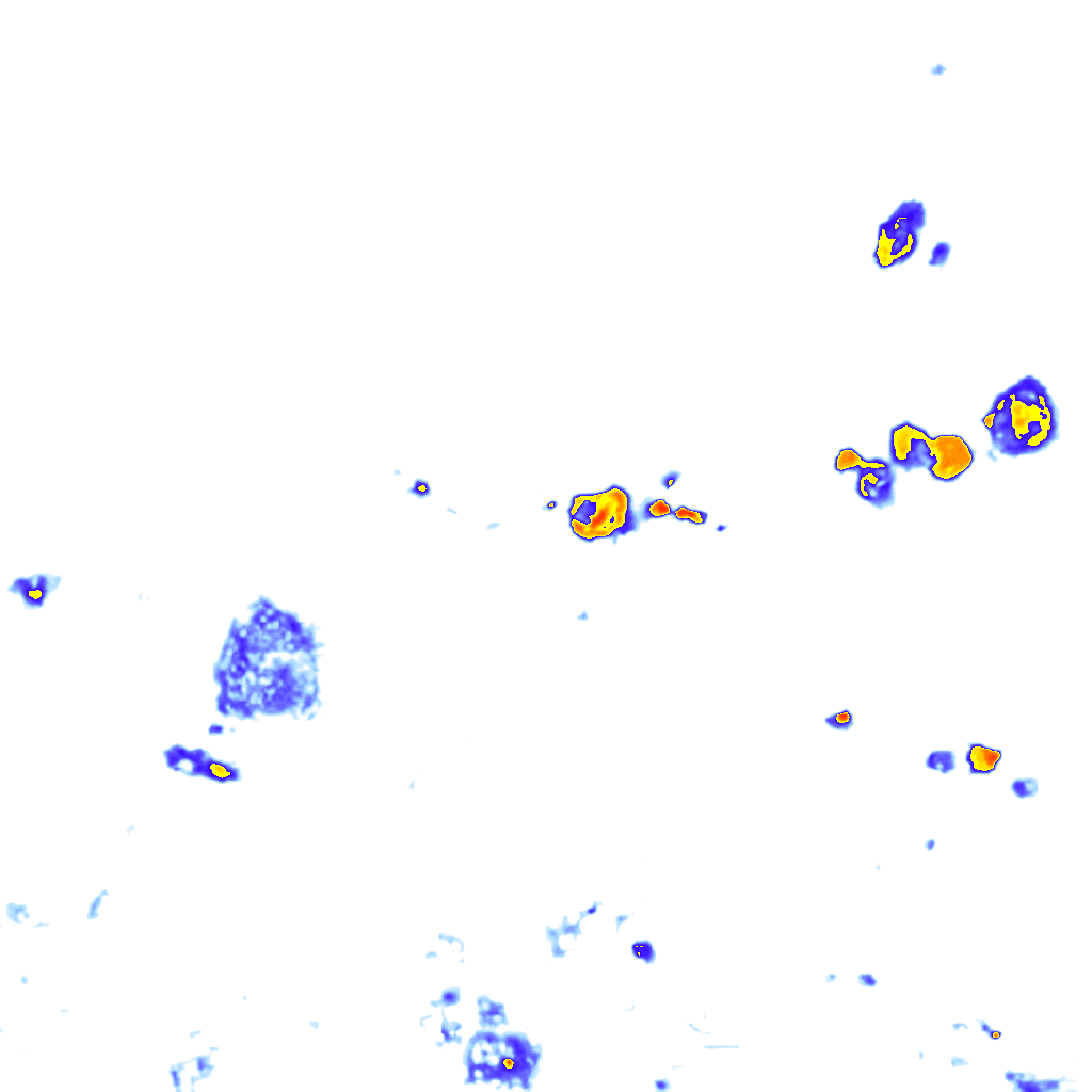 Image Layer