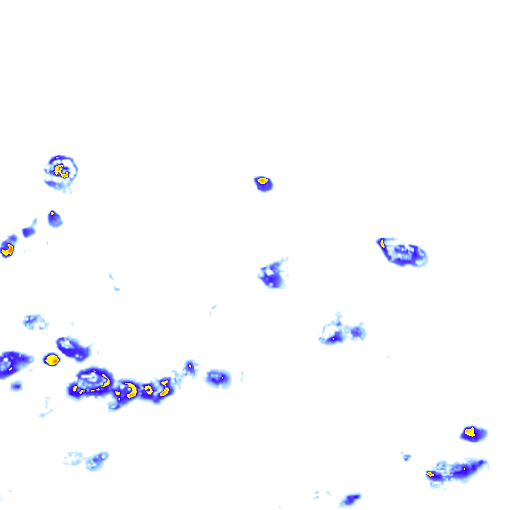 rainLayer
