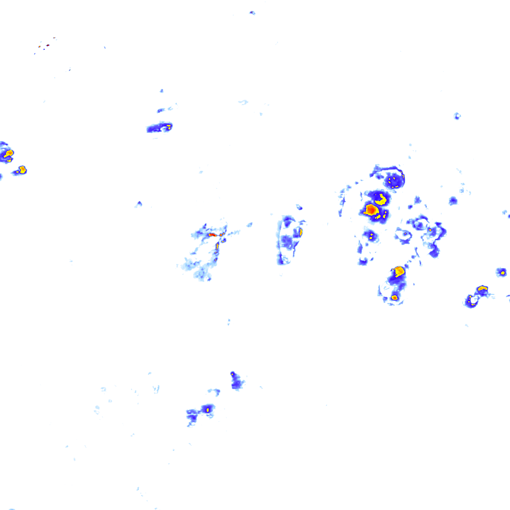 rainLayer