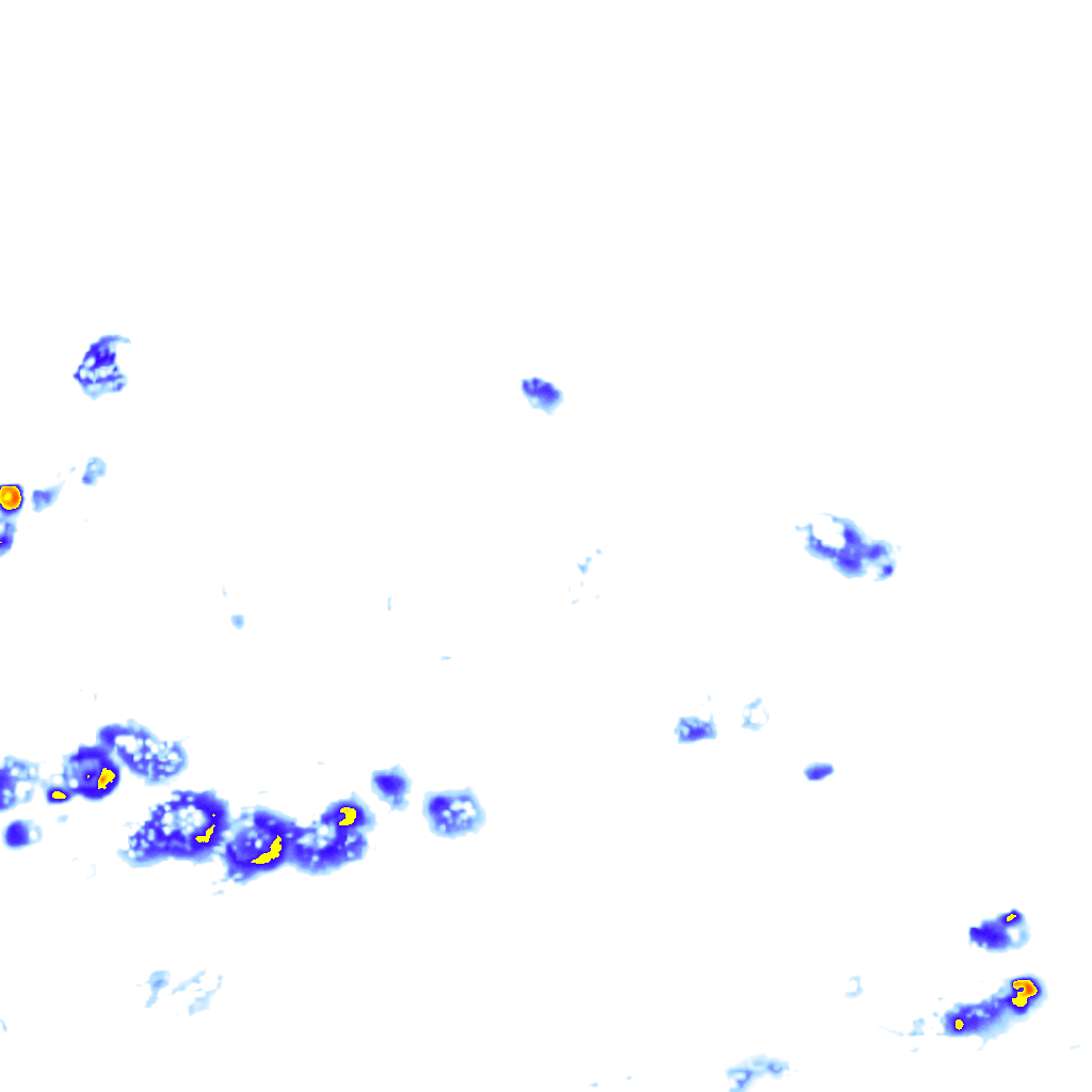 rainLayer