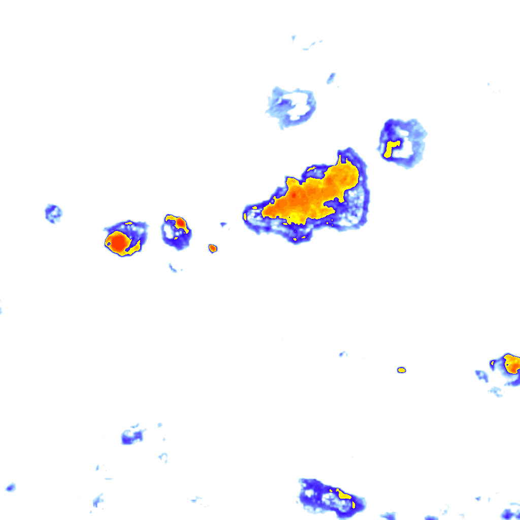 Image Layer
