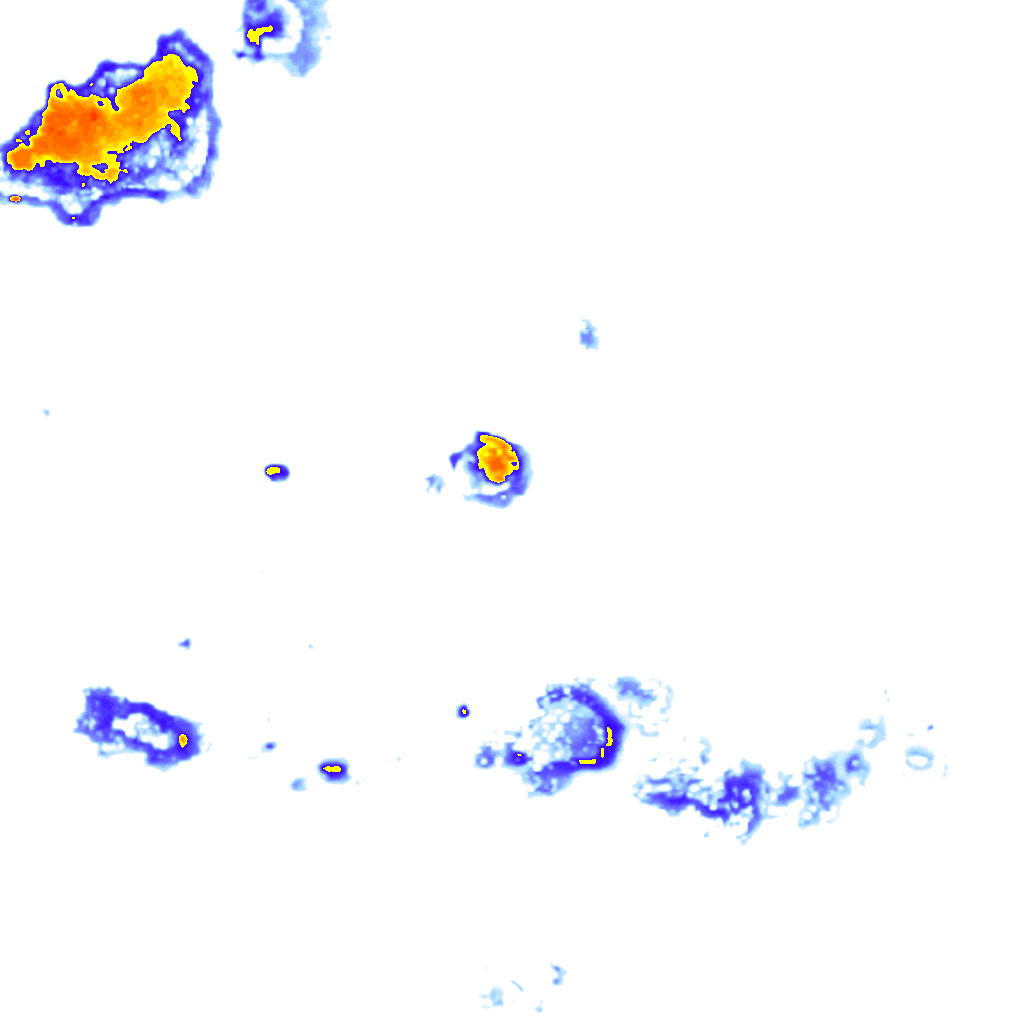 rainLayer