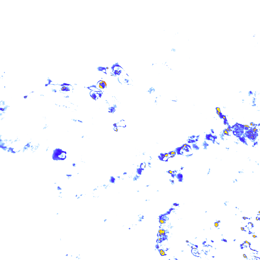 rainLayer