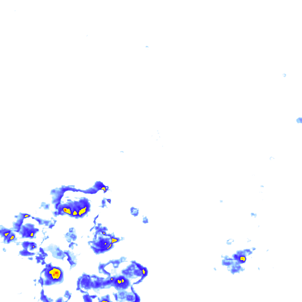 rainLayer