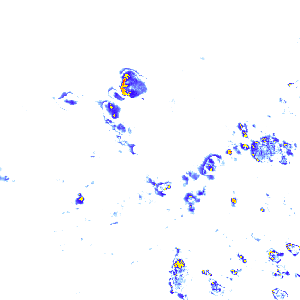 Image Layer