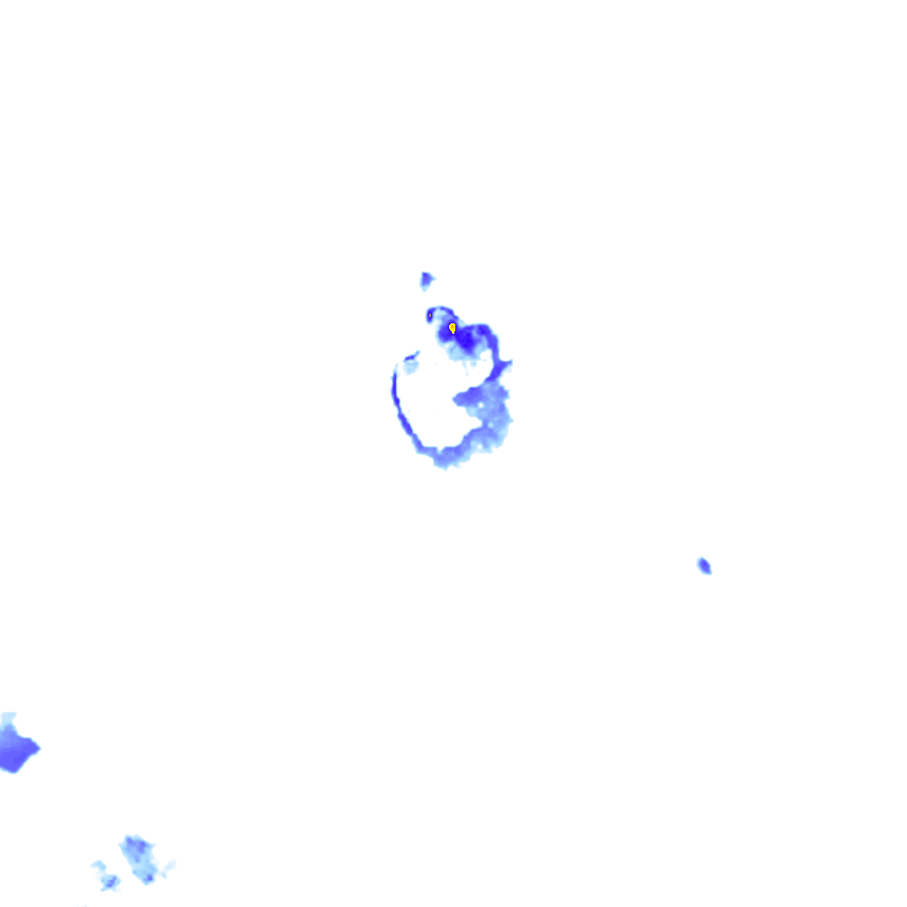 rainLayer
