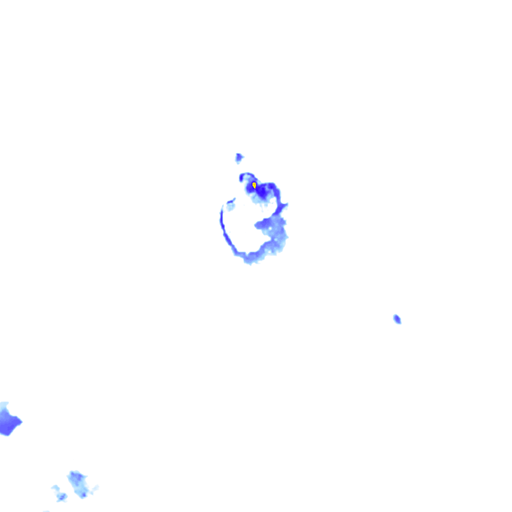 rainLayer