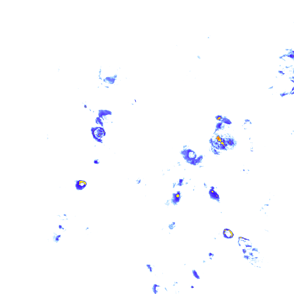 rainLayer