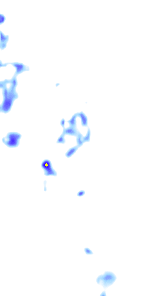 rainLayer