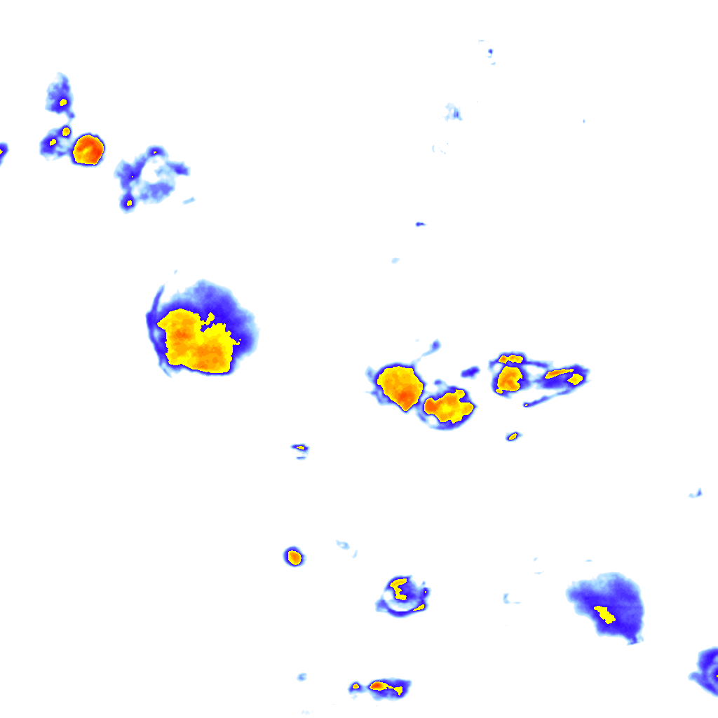 Image Layer