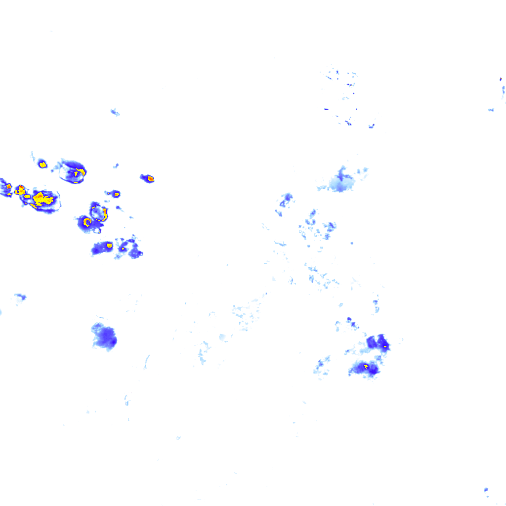 rainLayer