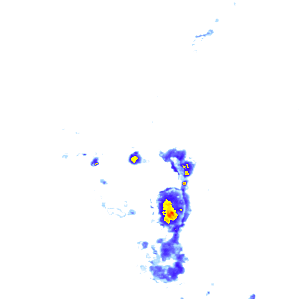 rainLayer