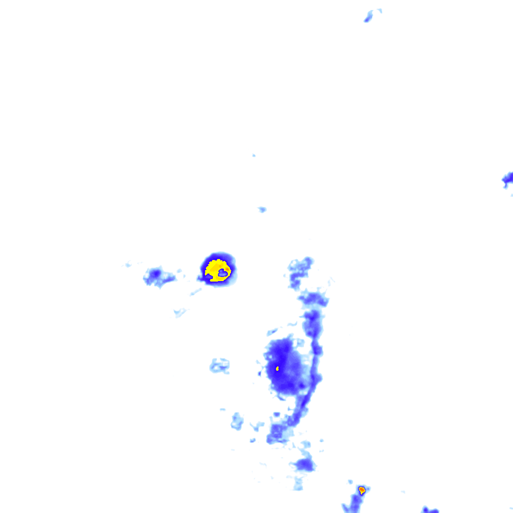 rainLayer