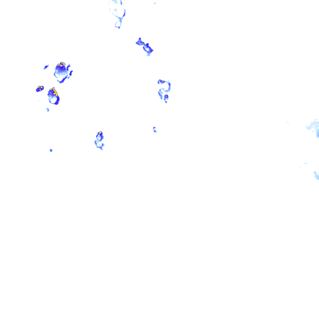 rainLayer