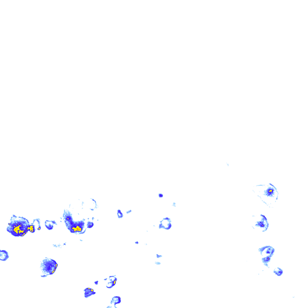 rainLayer