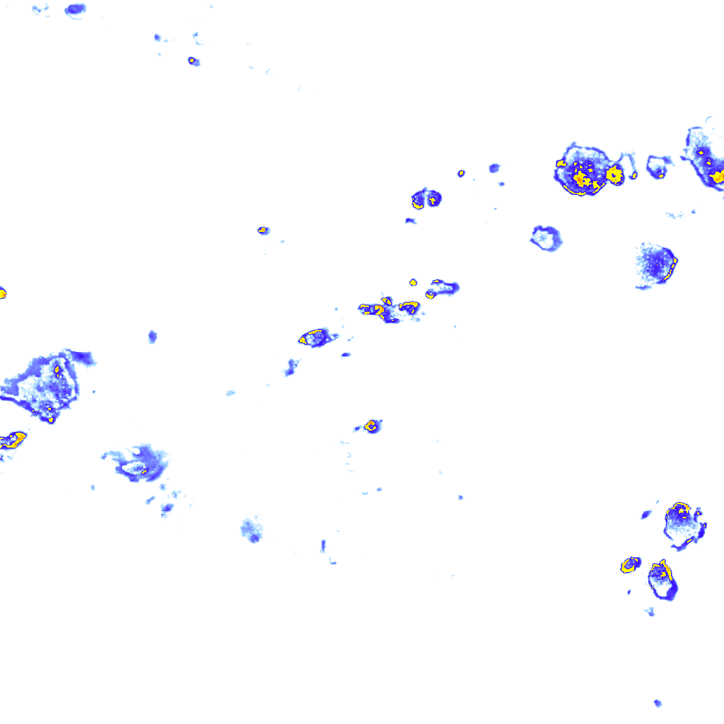 rainLayer