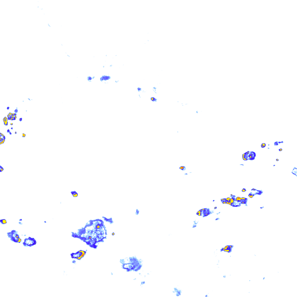 rainLayer