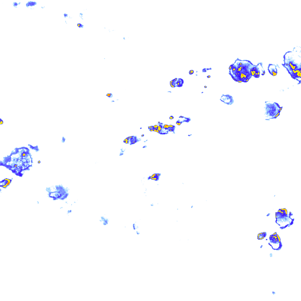 Image Layer